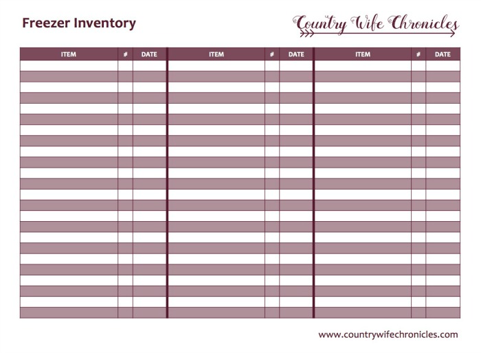 Planning Ahead Freezer Inventory PDF Image